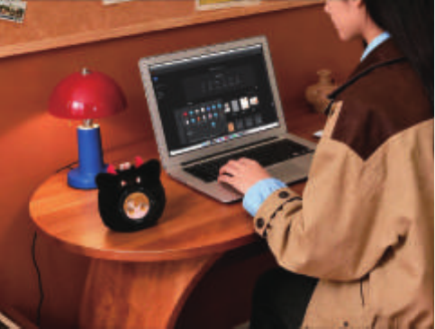 DESKTOP COMPANION