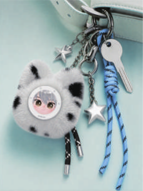 KEYCHAIN COLLECTION